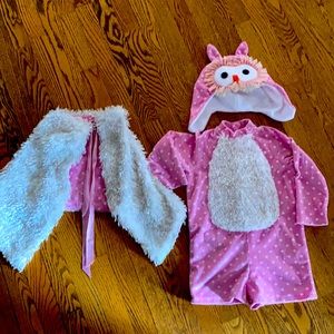 Owl 🦉 Costume!